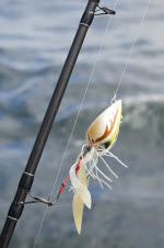 snapper fishing techniques