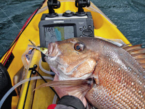 Kayak Fishing how to troll for snapper