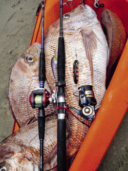 Kayak Fishing how to troll for snapper