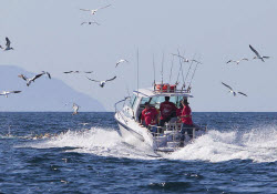 Fishing for snapper in workups