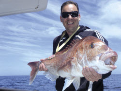 Fishing for snapper in workups