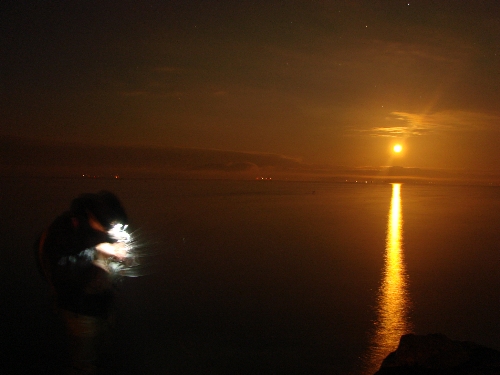 Selecting the perfect fly, with red winter-solstice/matariki moon-magical! 