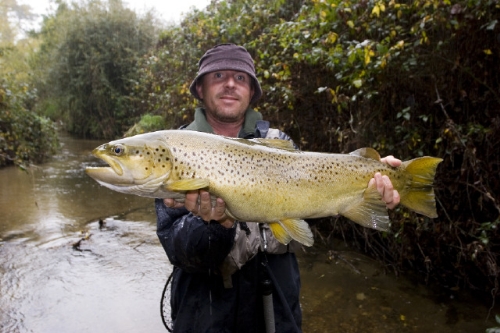15 pounds on 6lb tippet!