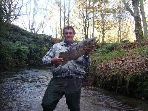 12 pound Ngongataha Brownie about to be released.