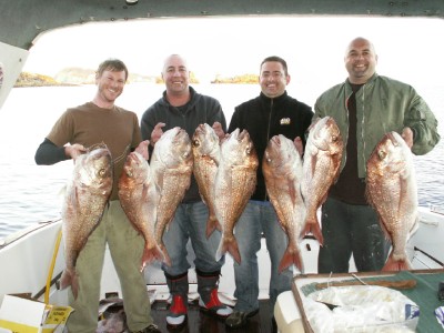 OWZAT, 3 PB'S AMONGST THAT LOT!