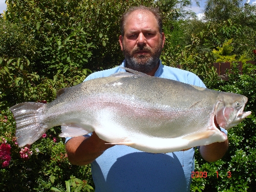 Island Style Raw Fish & Coconut Cream - The Fishing Website