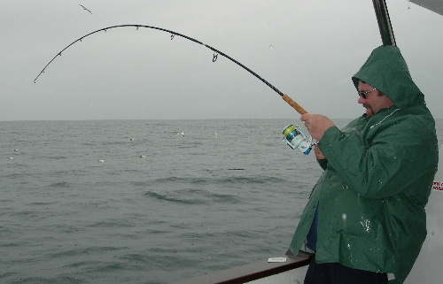 David Wood hooked up on DIVERSITY