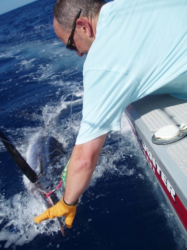 Just imagine you're grabbing a million dollar note!