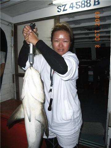 9 KG king fighting cobia!