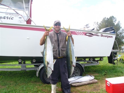 there were kingis everywhere