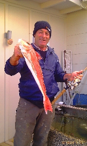 2.860 pound Gurnard