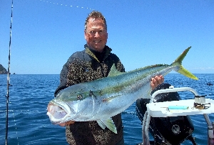 daiwa opus bull 5000