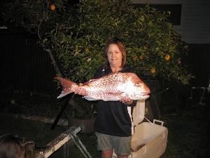 13p snapper caught just out from Kuaotunu