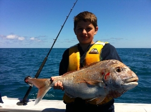Hamishs 12 pound snapper off raglan