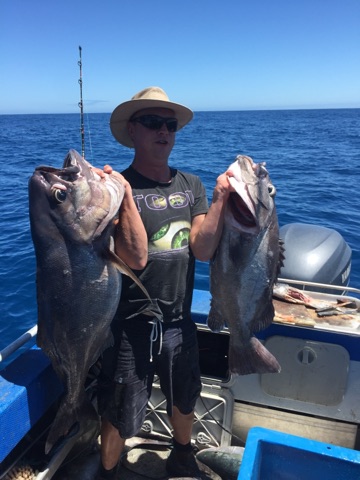 20kg bluenose 12kg bass