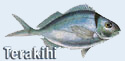 Terakihi