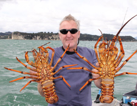 Diving for Crayfish at Whitianga