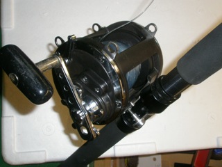 daiwa 900h sealine h reels Trolling Reel — Al Marfaa Marine Equipments Daiwa Sealine