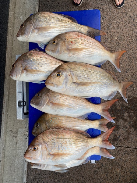 Manukau Harbour & West Coast fishing - The Fishing Website : Discussion ...