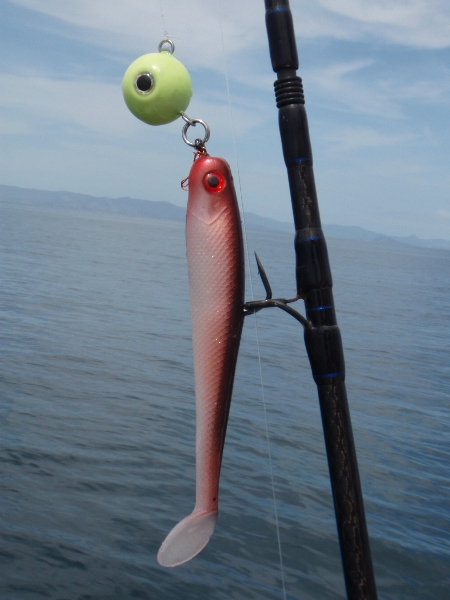 What's your favourite snapper rig? - The Fishing Website : Discussion ...