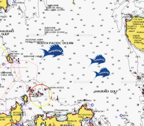 Hauraki Gulf Fishing Map Hauraki Gulf Fishing Reports - The Fishing Website : Discussion Forums -  Page 1