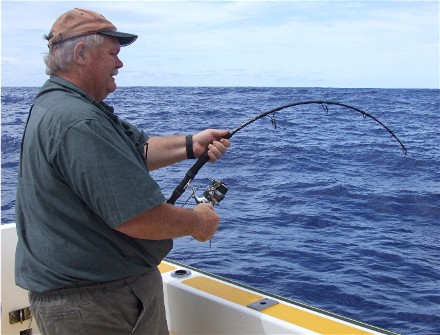 van staal jigging rod