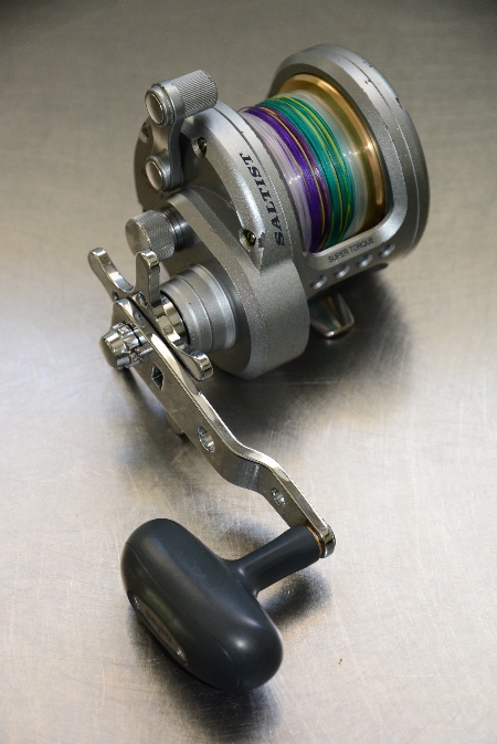 daiwa saltist 30th nz Daiwa Saltist 30T