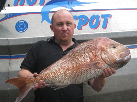 How to tell the sex of snapper? - The Fishing Website : Discussion ...