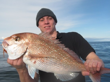 How to tell the sex of snapper? - The Fishing Website : Discussion ...