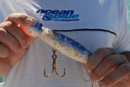 Well Worn Orion Surface Lure