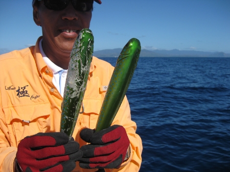 New Caledonia GT Popping