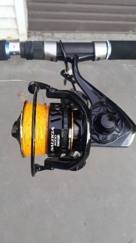 daiwa dogfight 8000