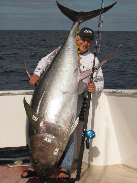 Warning "Do not grease your Avet drag" - The Fishing Website : Discussion  Forums