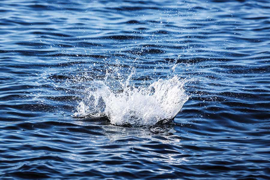 Best Rod and Reels for Topwater Fishing - The Fishing Website