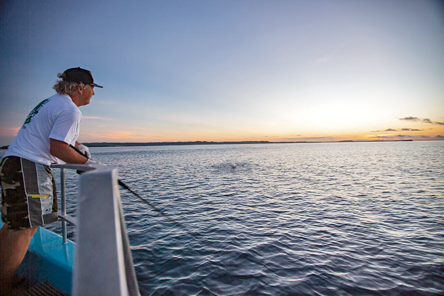 Best Rod and Reels for Topwater Fishing The Fishing Website