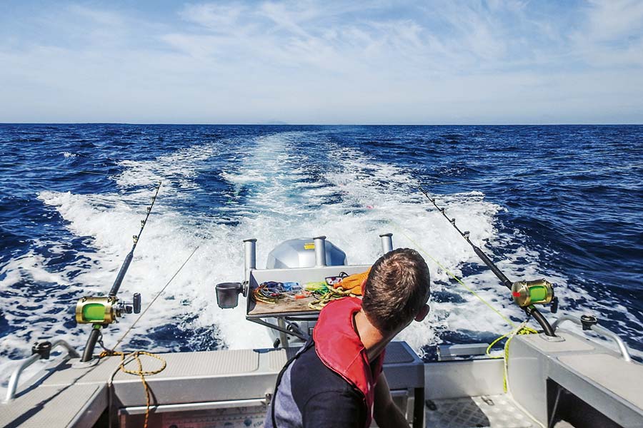 Gamefishing Lure Placement and Hook Selection The Fishing site