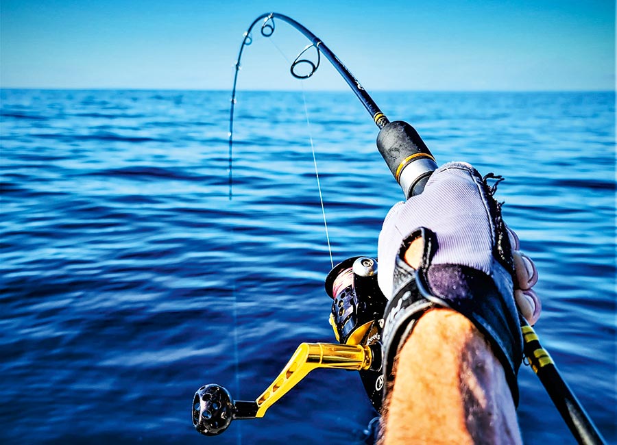  Fingerless fishing gloves, apart from offering good grip on the rod, protect the hands from cuts and spikes.