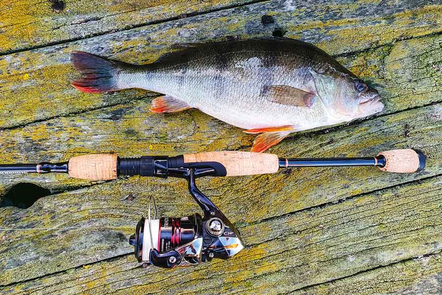Fishing in Lake Pupuke The Fishing site