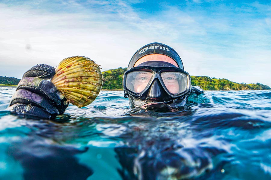 Diving for Scallops The Fishing site