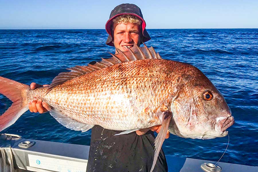 A Guide to SoftBait Fishing in the Far North The Fishing site