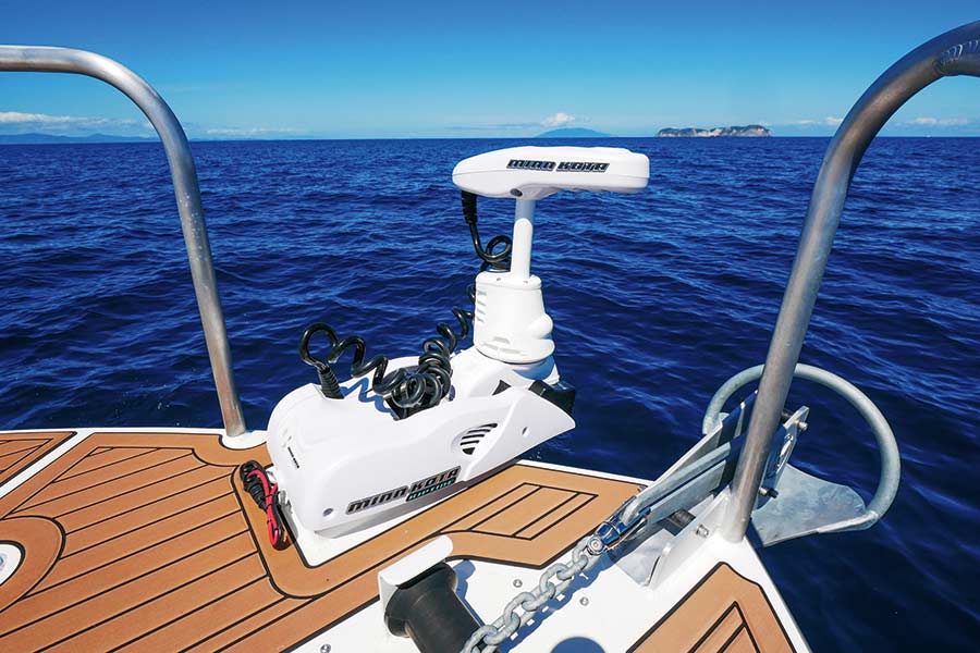 Trolling motors have changed fishing forever. 