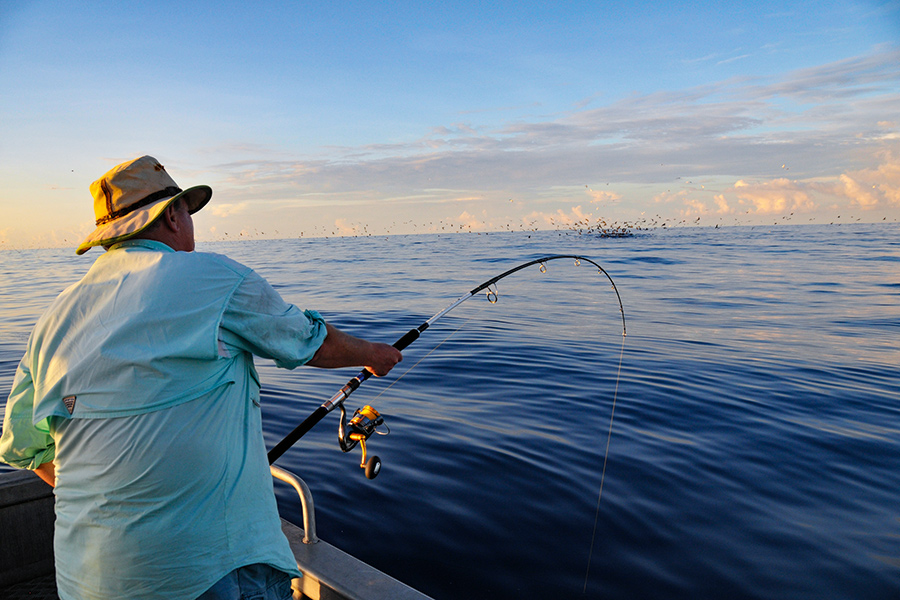 Throwing a stickbait into this bird-marked offshore workup resulted in a solid yellow-fin tuna hook-up.
