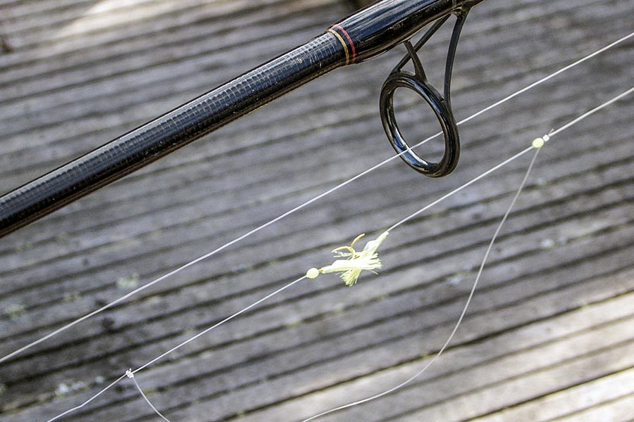 Ten Tips for Saltwater Fishing The Fishing site