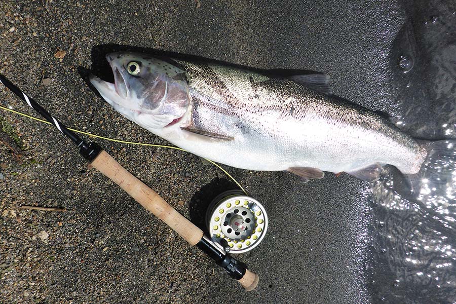 Herb is one of the pioneers of the Tongariro Roll Cast in New Zealand.