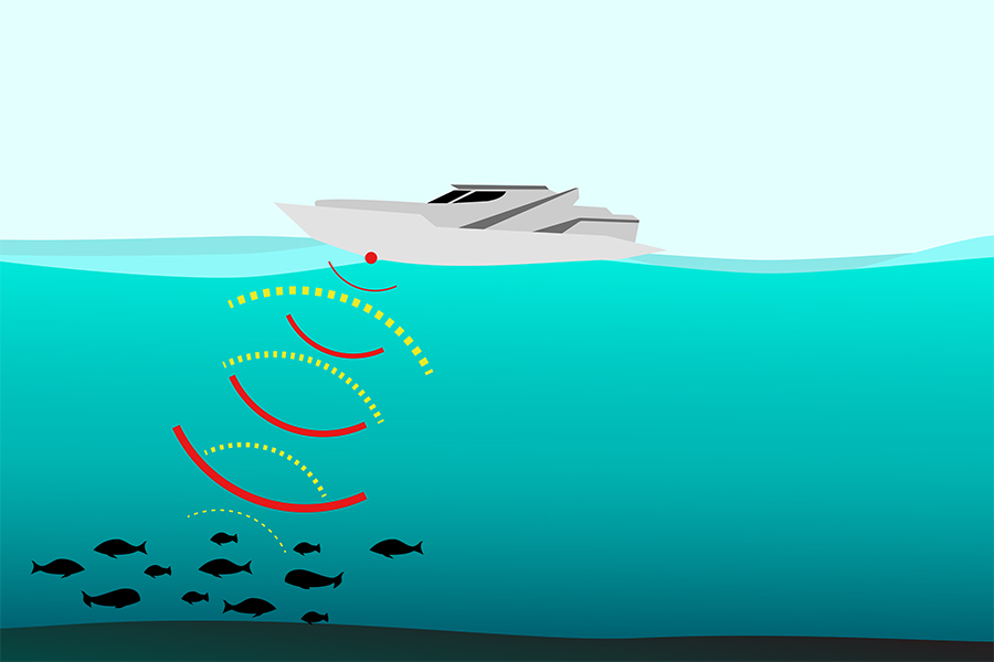 Sounders and Fish Finder Techniques The Fishing site