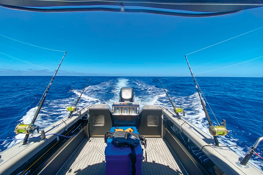 Catching Striped Marlin on Lures Part 1 The Fishing site