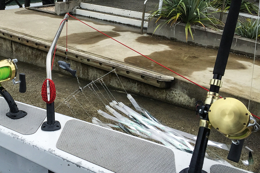 Catching Striped Marlin on Lures Part 1 The Fishing site