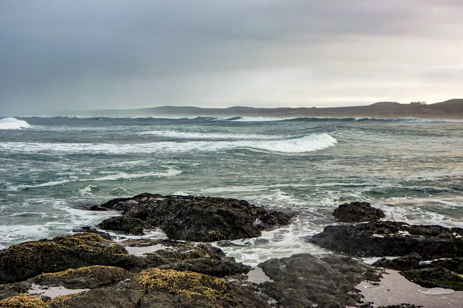 A storm smashing into a rocky coast will break up and disturb lots of food items.