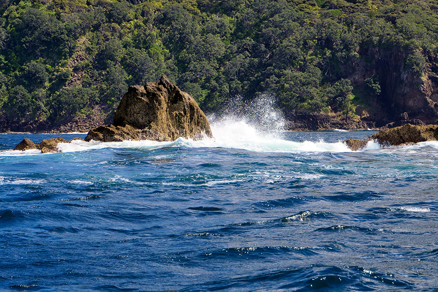 PJ prefers spots where berley will be dispersed widely, such as areas where water flow is constricted and sped up through gaps between reefs.
