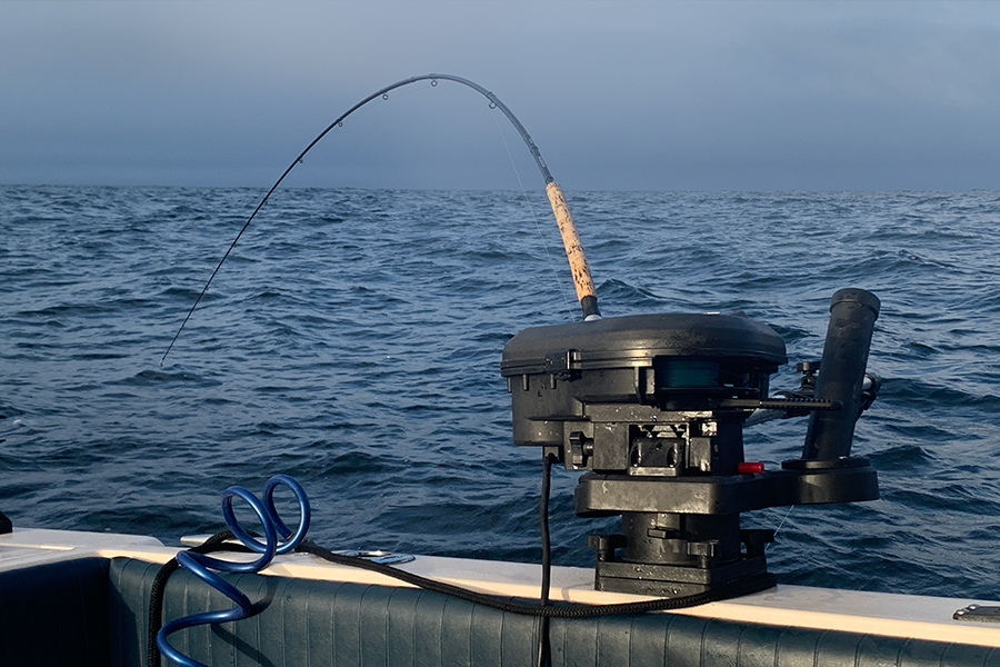 Scotty Downrigger Review The Fishing site